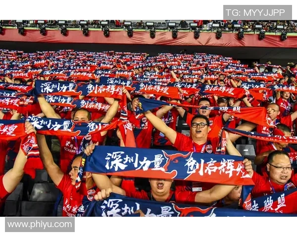 武汉乒乓球队奋勇拼搏的历程与荣耀背后的故事